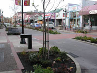 Raised crossing, pavement color changes, street furniture at edge of street encourage slower speeds.